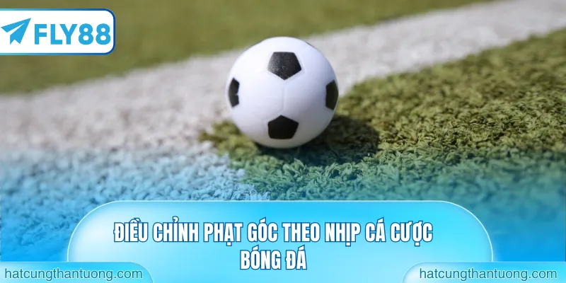 Điều chỉnh phạt góc theo nhịp cá cược bóng đá