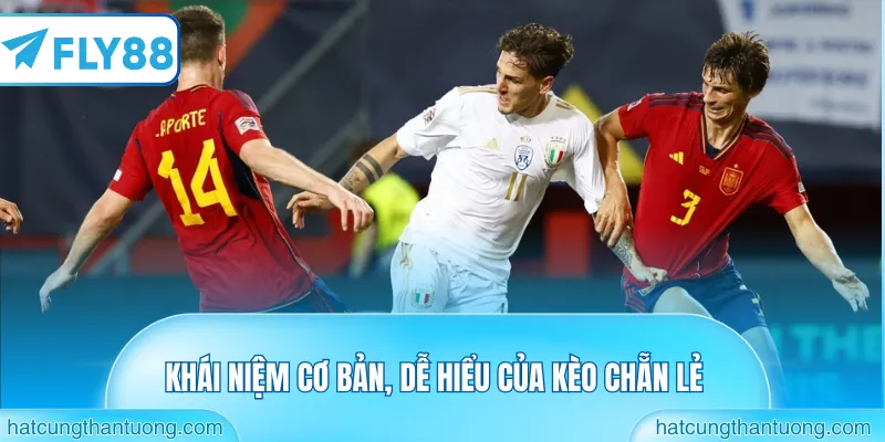 Khái niệm cơ bản, dễ hiểu của kèo chẵn lẻ